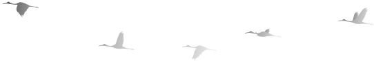 764799-a6a9f82c222468e7d78da0045aeff6aa