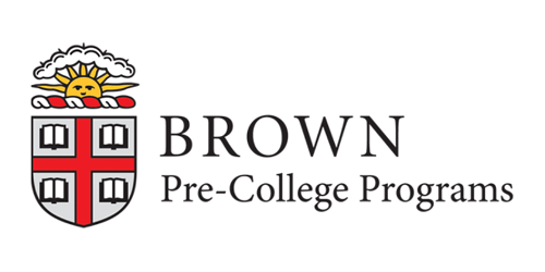 2020 The Brown Leadership Institute