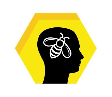 2023年Brain Bee脑科学大赛火热报名中，Brain Bee竞赛辅导课程为你备赛助力！