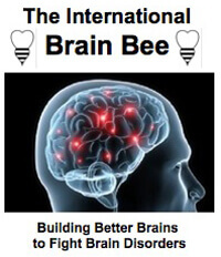 2023年Brain Bee脑科学大赛报名正式开启！