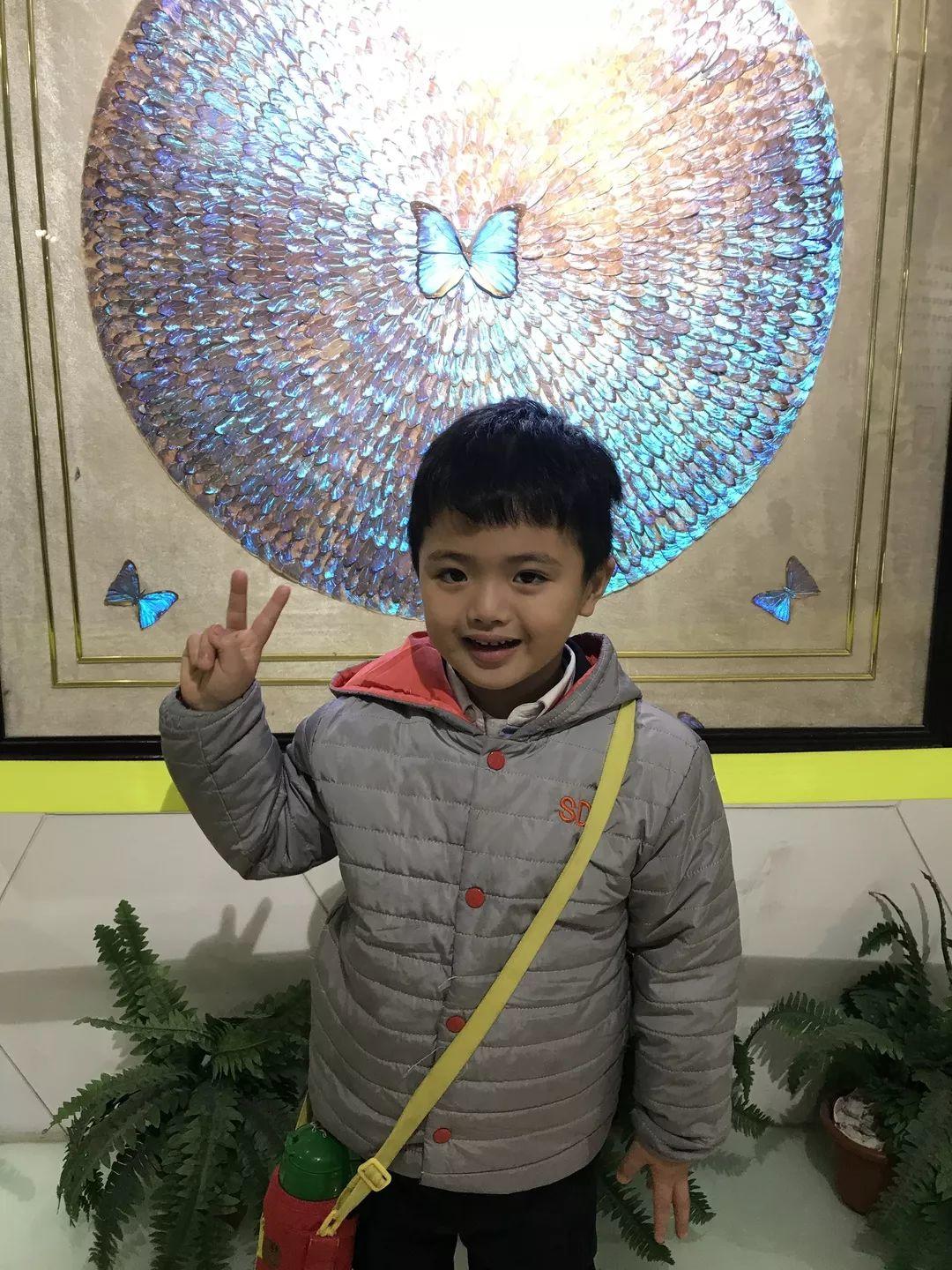 拜访昆虫的爷爷奶奶——记尚德幼儿园中班组昆虫博物馆社会实践