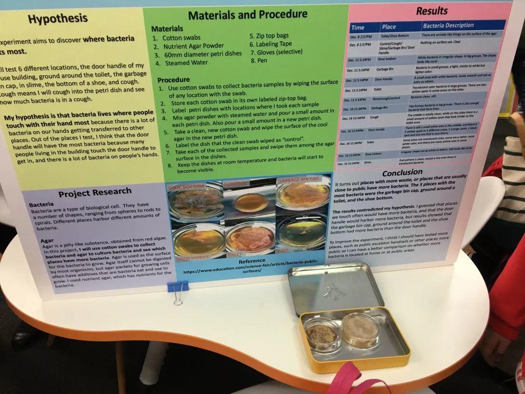 2018-19中学科学博览会 FDIS Middle School Science Fair