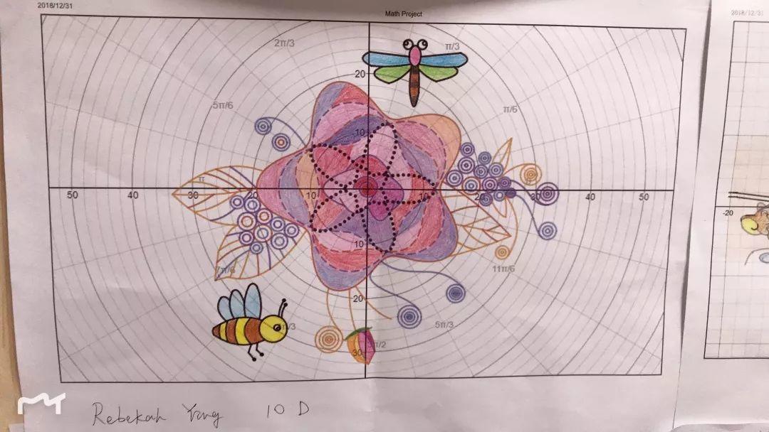 有魔法的公式，带你体验数学的艺术之美 | 记西南位育中学国际部数学组PBL项目部分Project展示