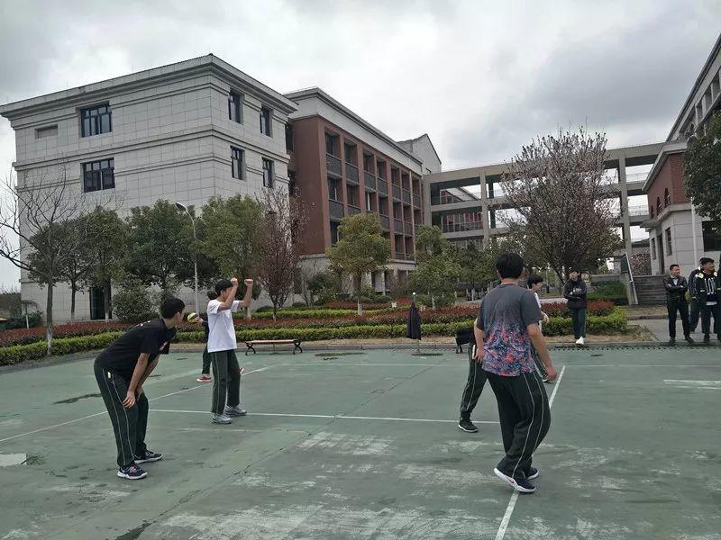 趣在冬练，乐在海枫