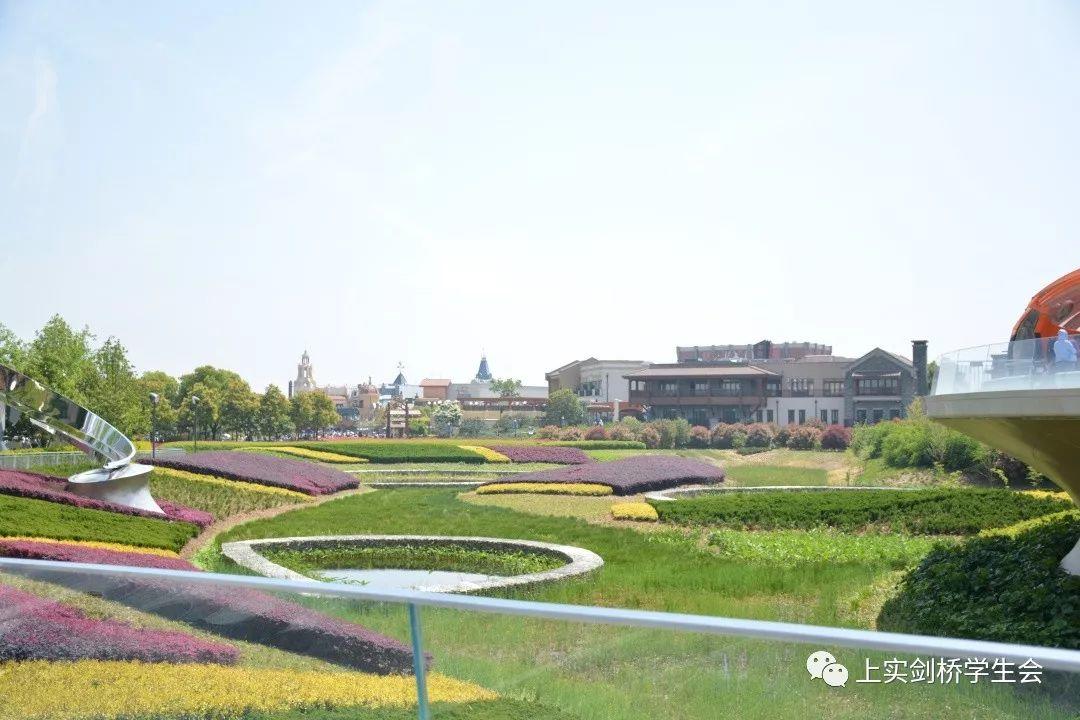 快乐春游丨芳菲四月和迪士尼的一次约会