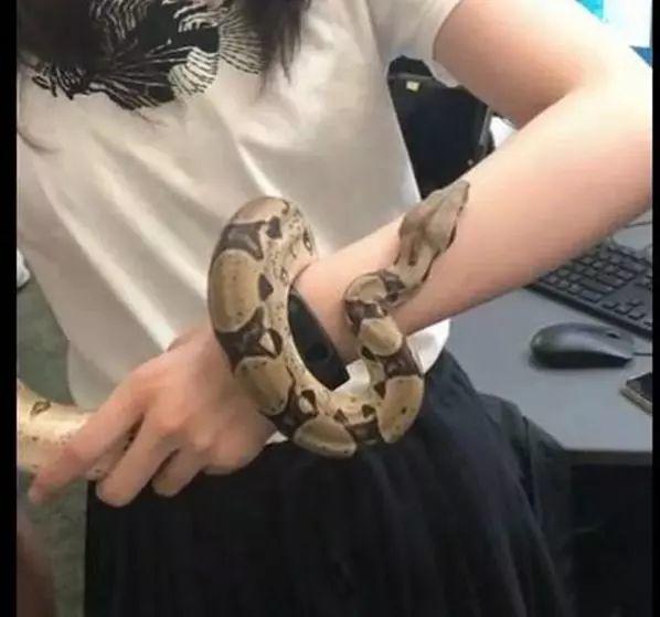 【世外学子风采9】生物与文学的奇妙跨界