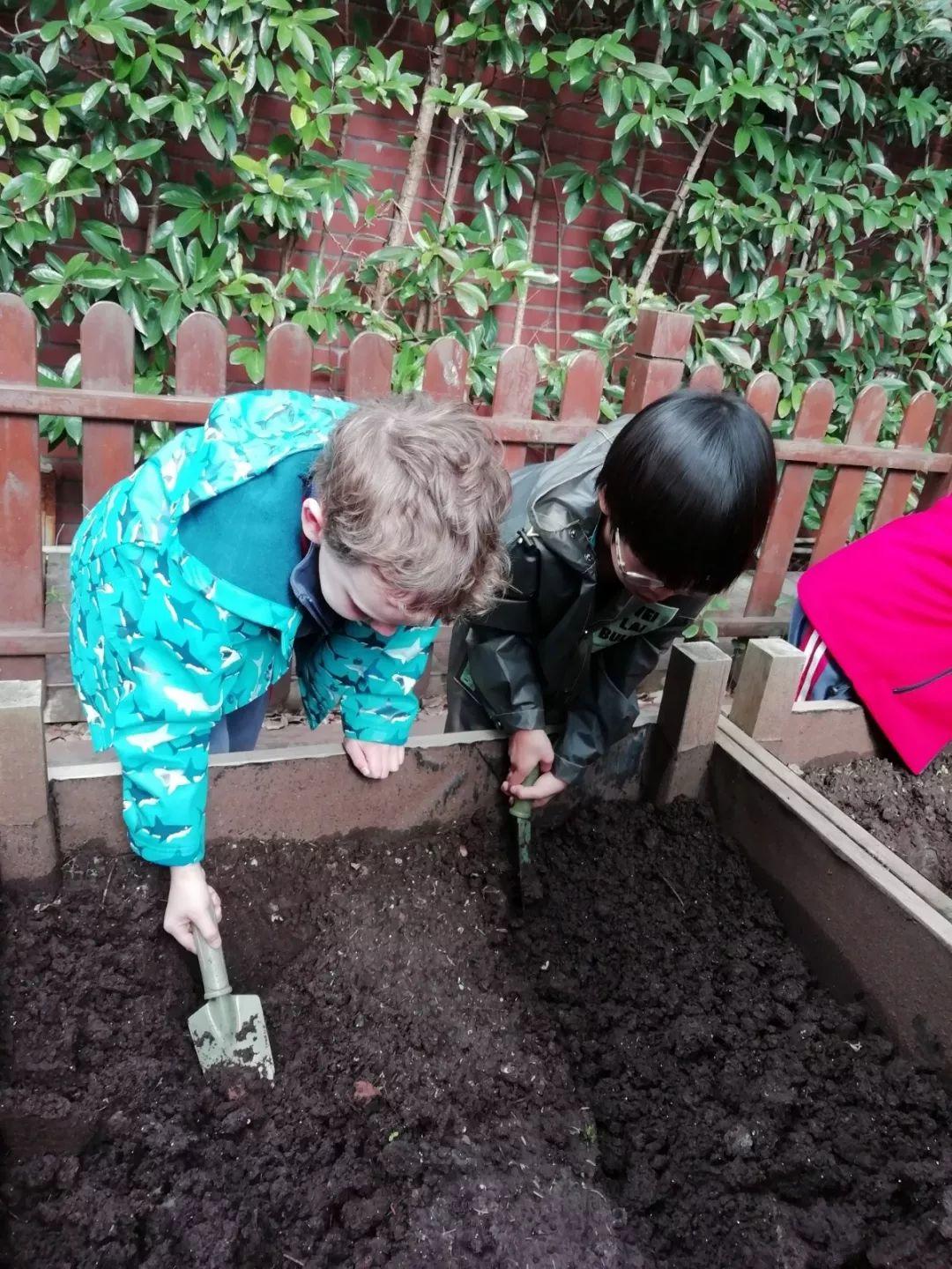 Eco-Gardening in the Big City | 大都市内的生态园艺