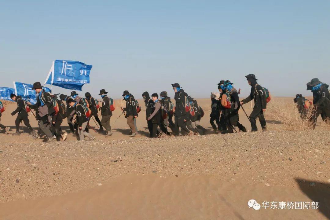 大漠孤烟 383生成功跨越51K金色海洋！