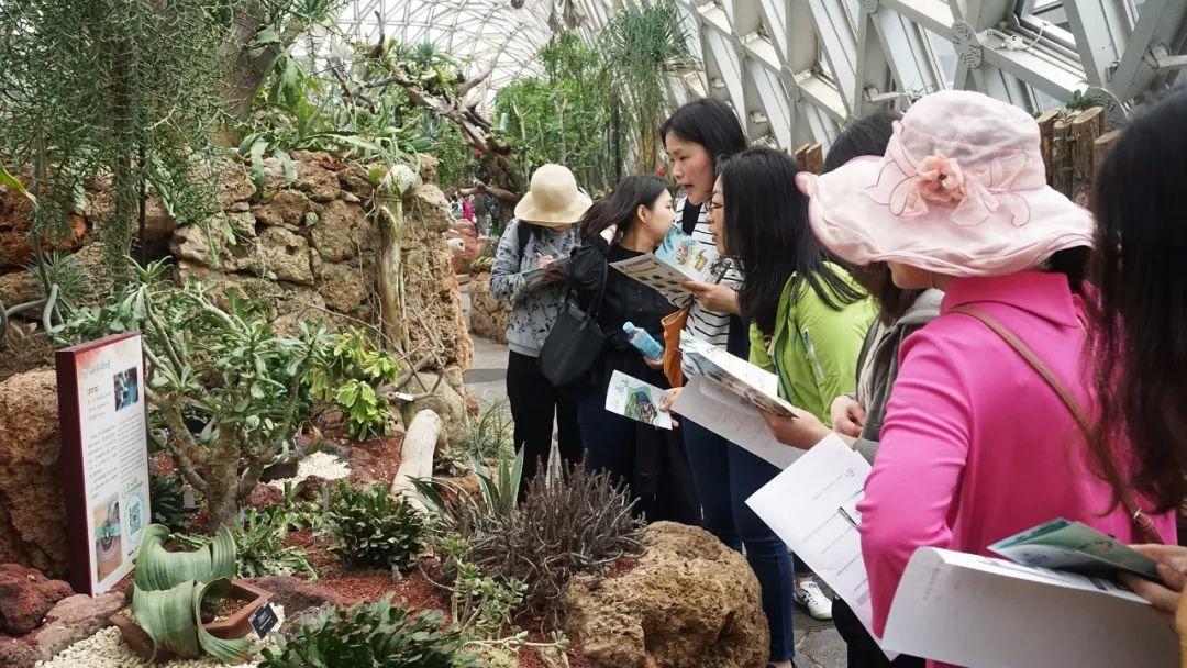 “Experiential Learning” Teaching Research Activity