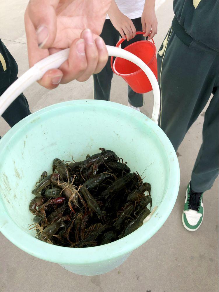 职业体验丨九年级：拥抱自然，尽享春天