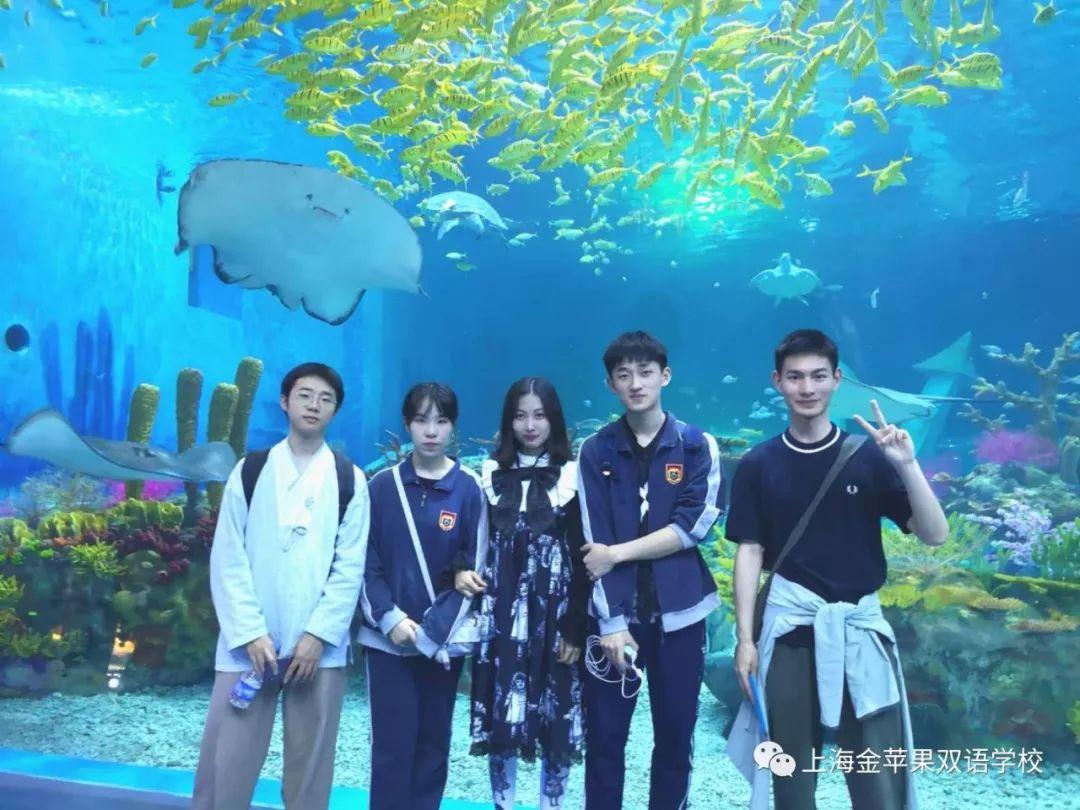 海洋环境保护，保护的到底是谁？丨金苹果国际部春游有感
