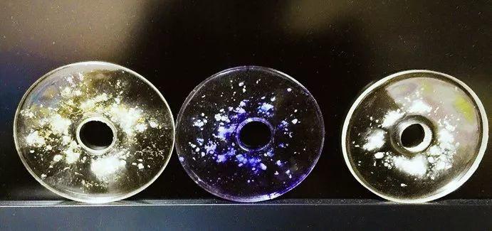 世外IBDP学子在上海市青少年科创赛中喜获佳绩