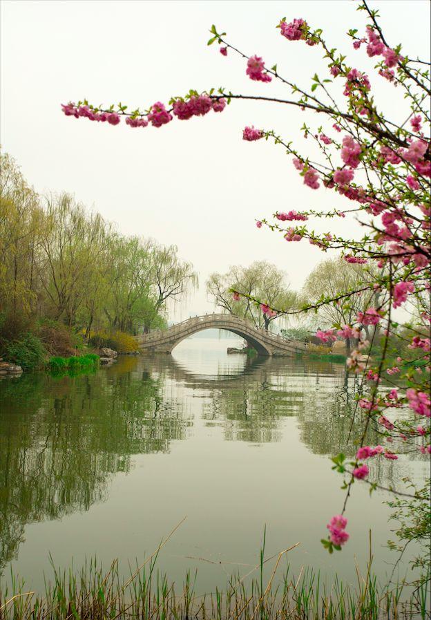 实践|人间四月芳菲日，金陵古城课题时（三）