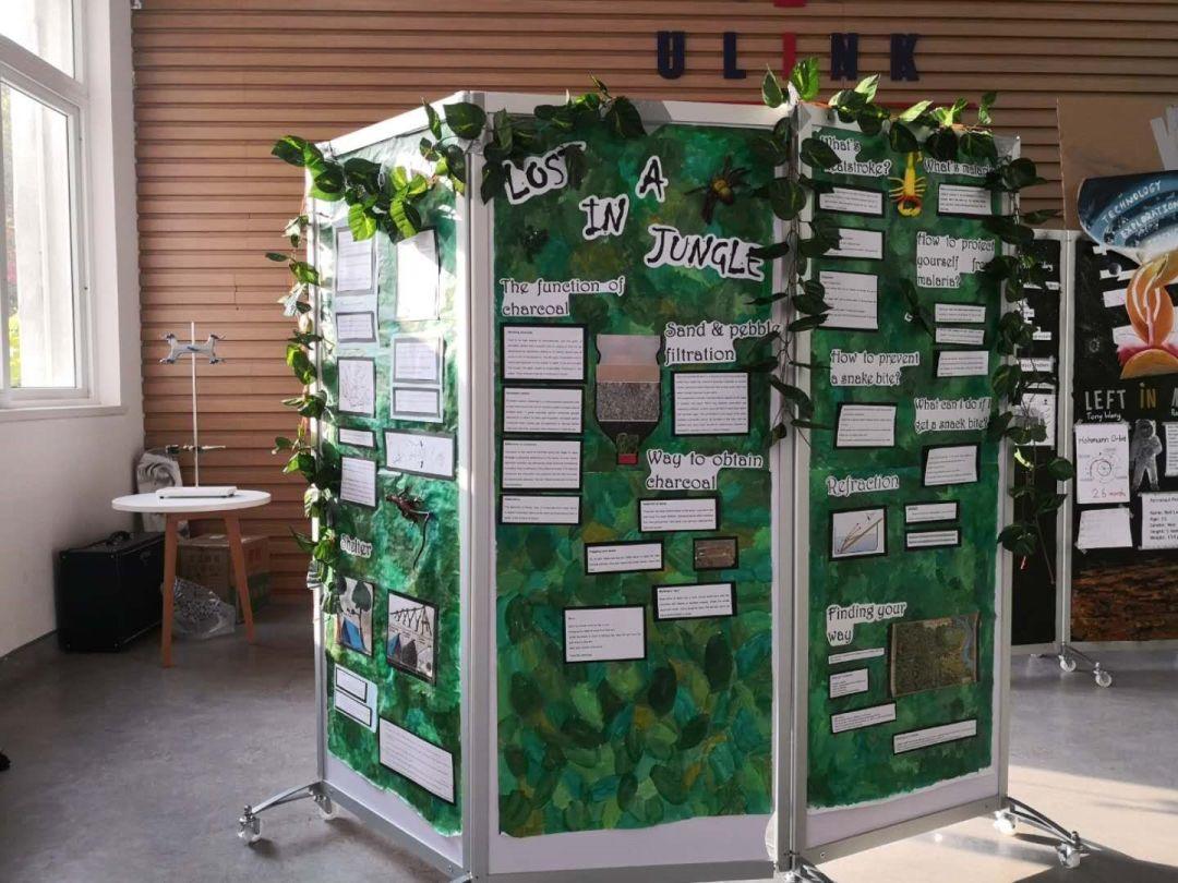 IB科学展，教你如何绝处逢生？