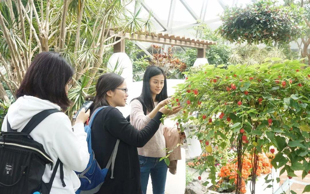 “Experiential Learning” Teaching Research Activity