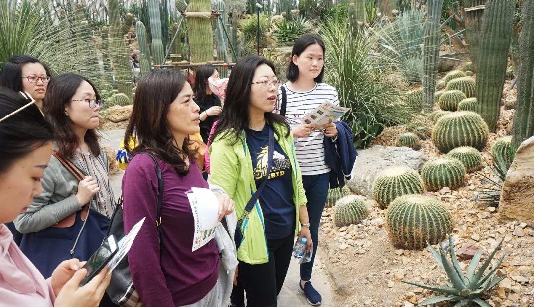 “Experiential Learning” Teaching Research Activity