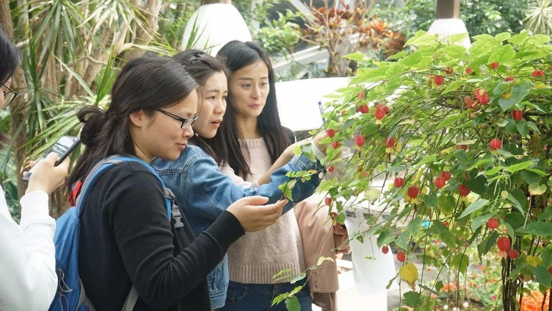“Experiential Learning” Teaching Research Activity