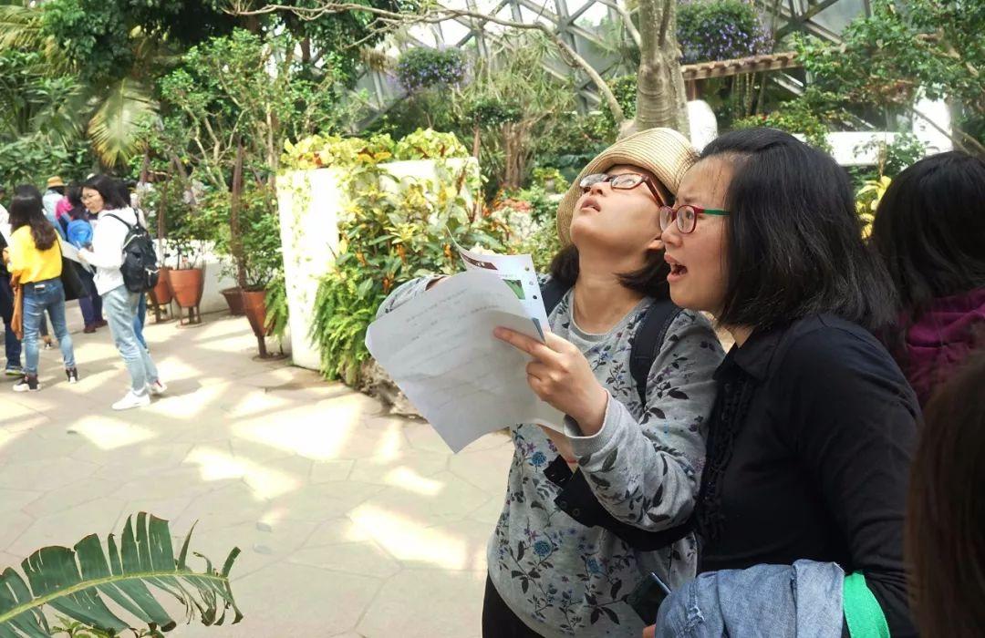 “Experiential Learning” Teaching Research Activity