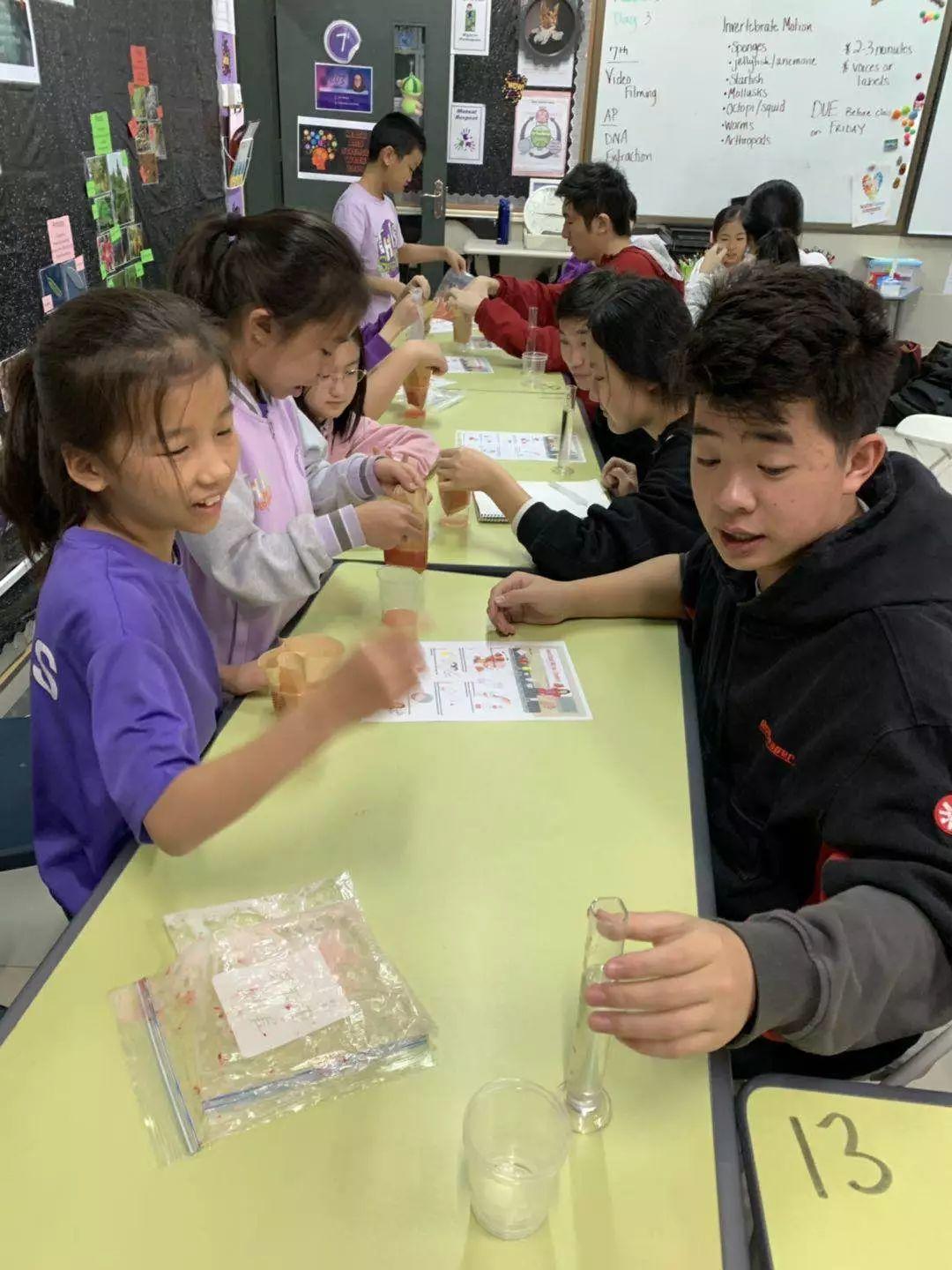 清华附中国际部数学科学周|THIS Math and Science Week