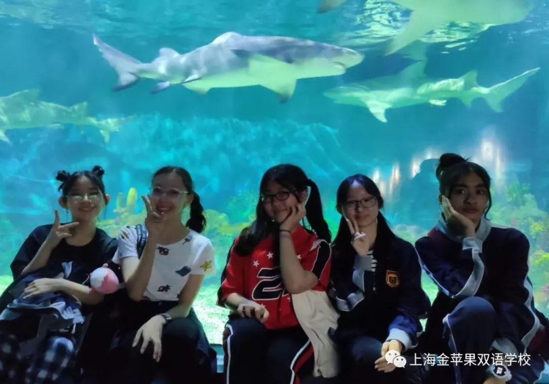 海洋环境保护，保护的到底是谁？丨金苹果国际部春游有感