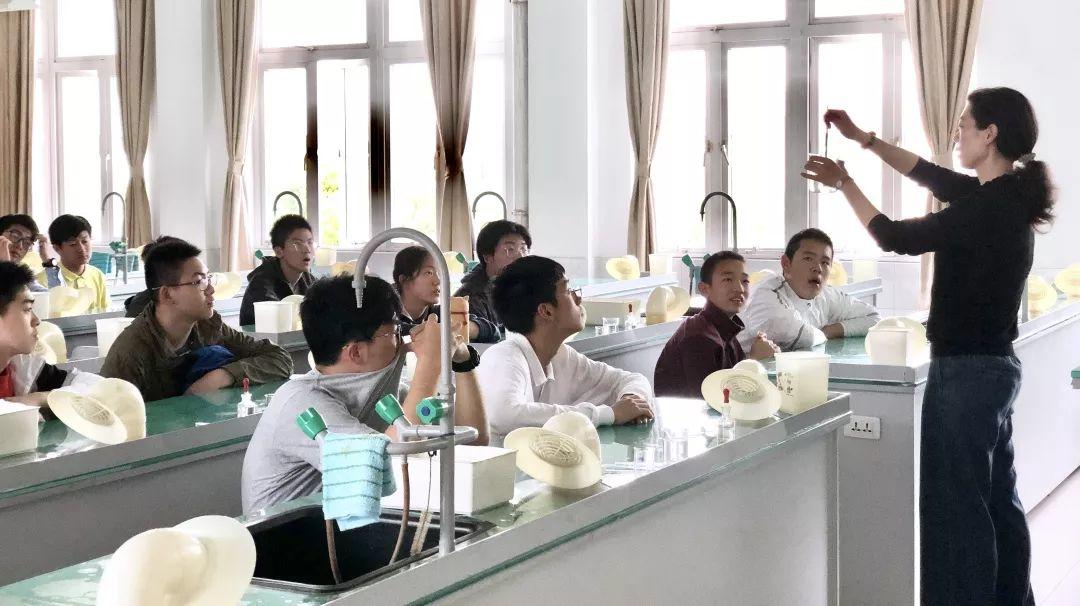 课程｜国际课程怎么上？来民办位育体验国际课程先修课吧！