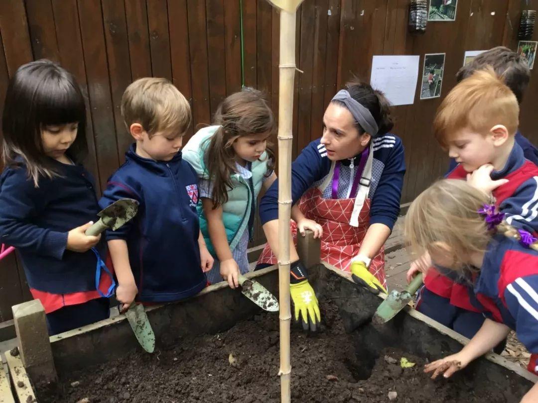 Eco-Gardening in the Big City | 大都市内的生态园艺