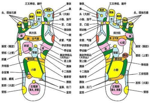 金苹果国际部校内教师培训三丨如何成为一位受欢迎的教师？