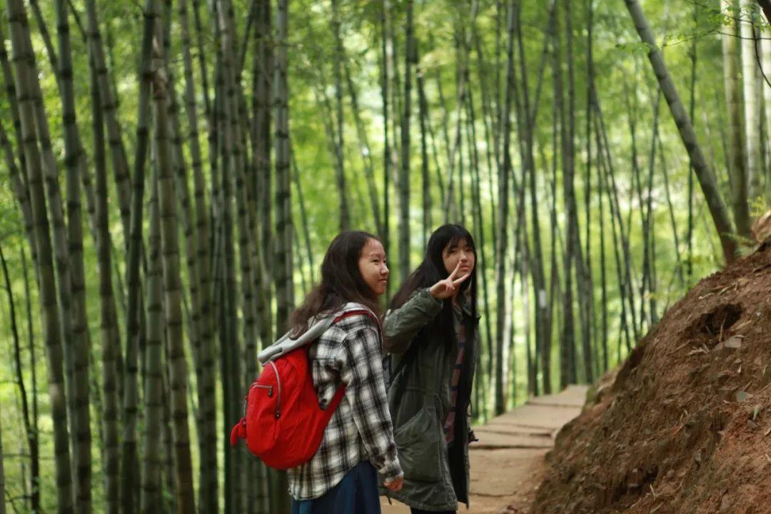 诗画黄山，古韵徽州——记八年级黄山文化探索与实践活动