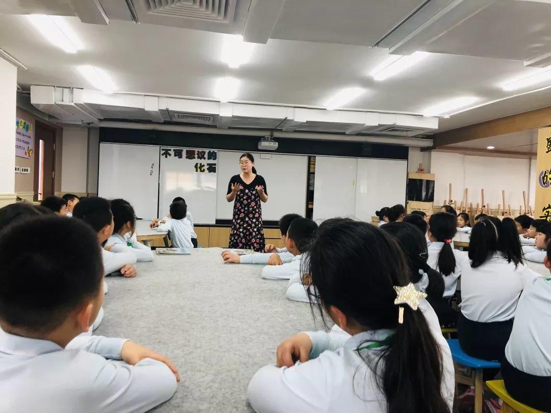 别具匠心，乐读绘本 | 记尚德小学部“小圭璋”绘本活动