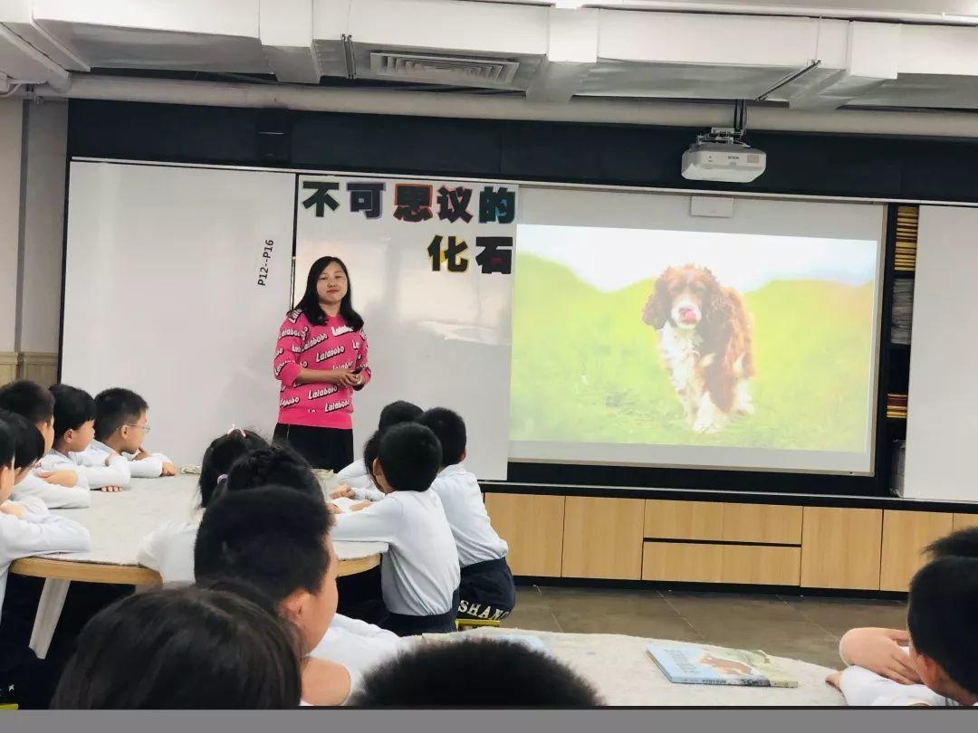 别具匠心，乐读绘本 | 记尚德小学部“小圭璋”绘本活动