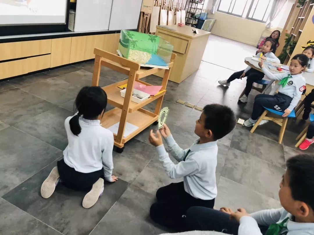 别具匠心，乐读绘本 | 记尚德小学部“小圭璋”绘本活动