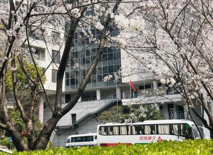 直说择校探校 | 酒香也怕巷子深——探访一所在沪办学超过10年的国际高中