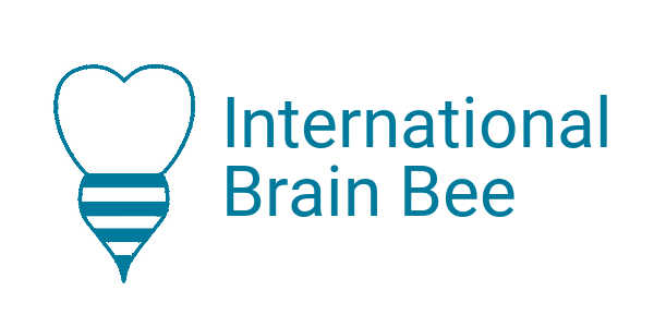 2019 Brain Bee国际脑神经大赛