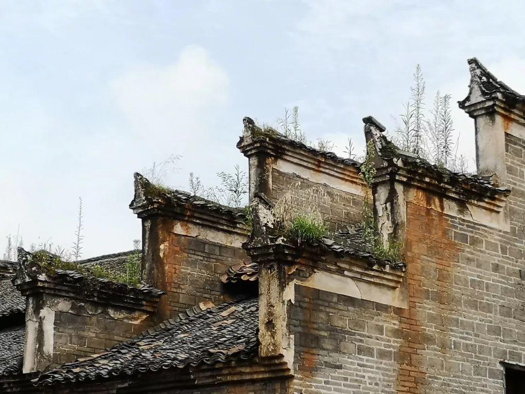 不忘初心再出发 | 七德党支部学习之旅（二）：革命摇篮绿色井冈