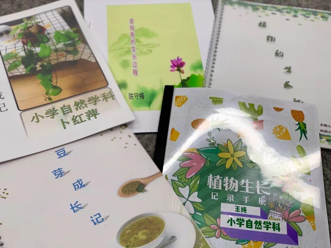 等一朵花开——记尚德小学部教师暑假作业展