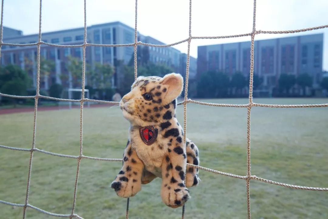 Calling All QD Alumni | 12月20日七德校友返校日:我们等你回家 Calling All QD Alumni | 12月20日七德校友返校日:我们等你回家