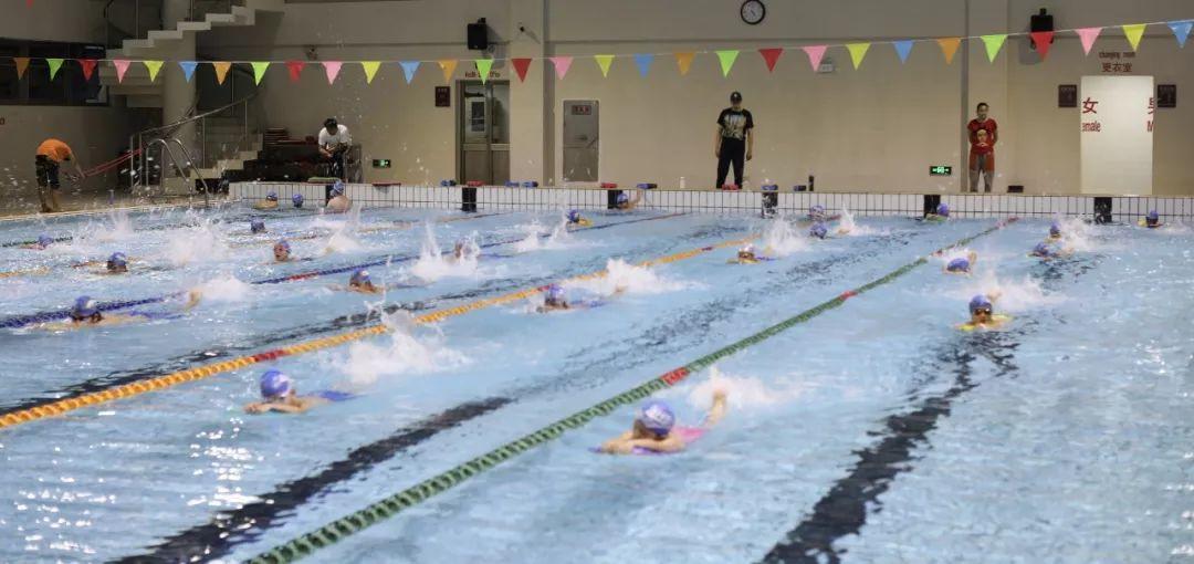 Go, Stallions Swim Team! Go, Stallions Swim Team!