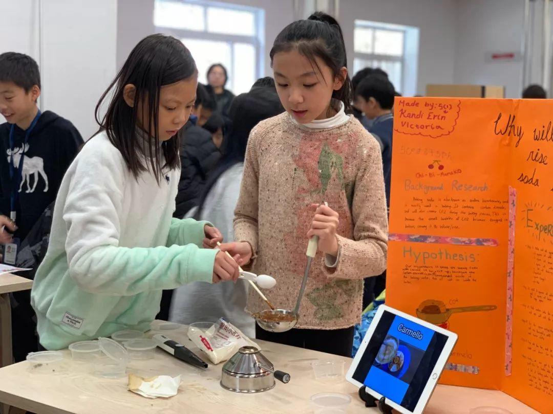 G4-5 | Science Fair G4-5 | Science Fair