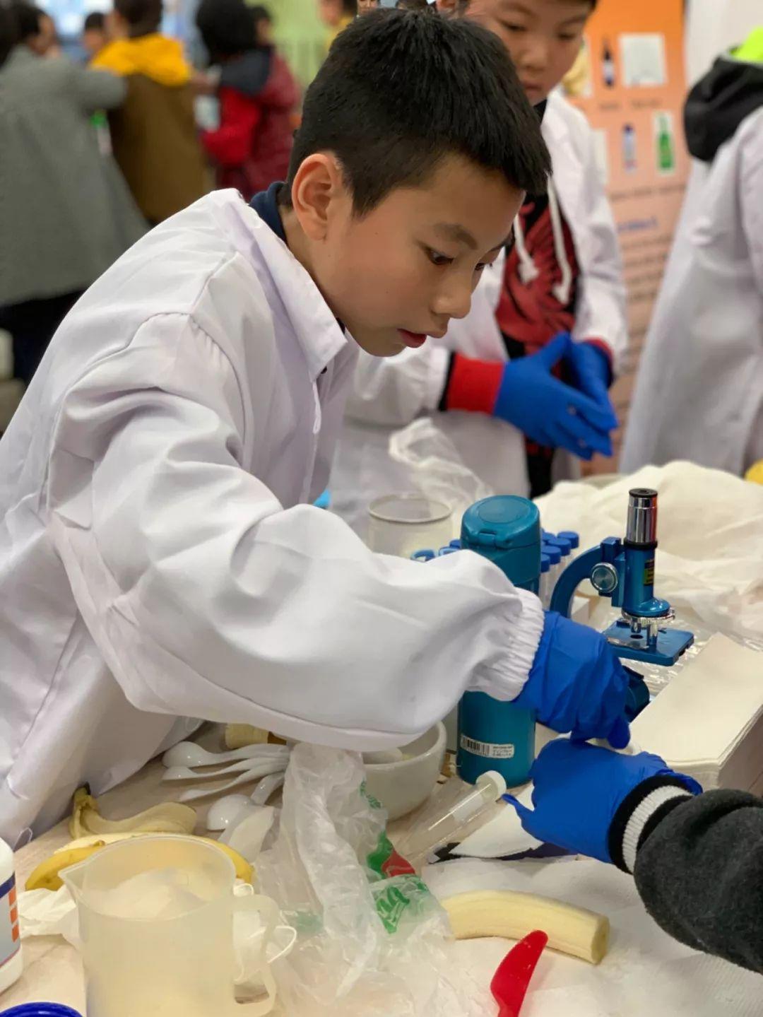 G4-5 | Science Fair G4-5 | Science Fair