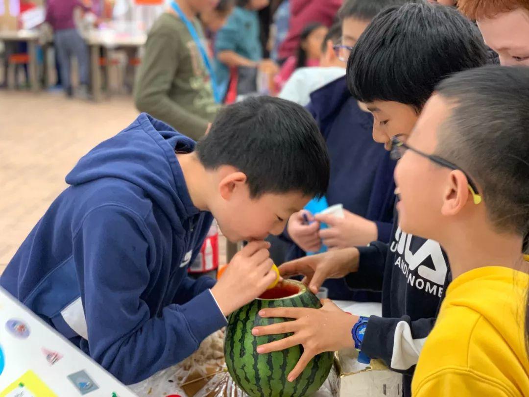 G4-5 | Science Fair G4-5 | Science Fair