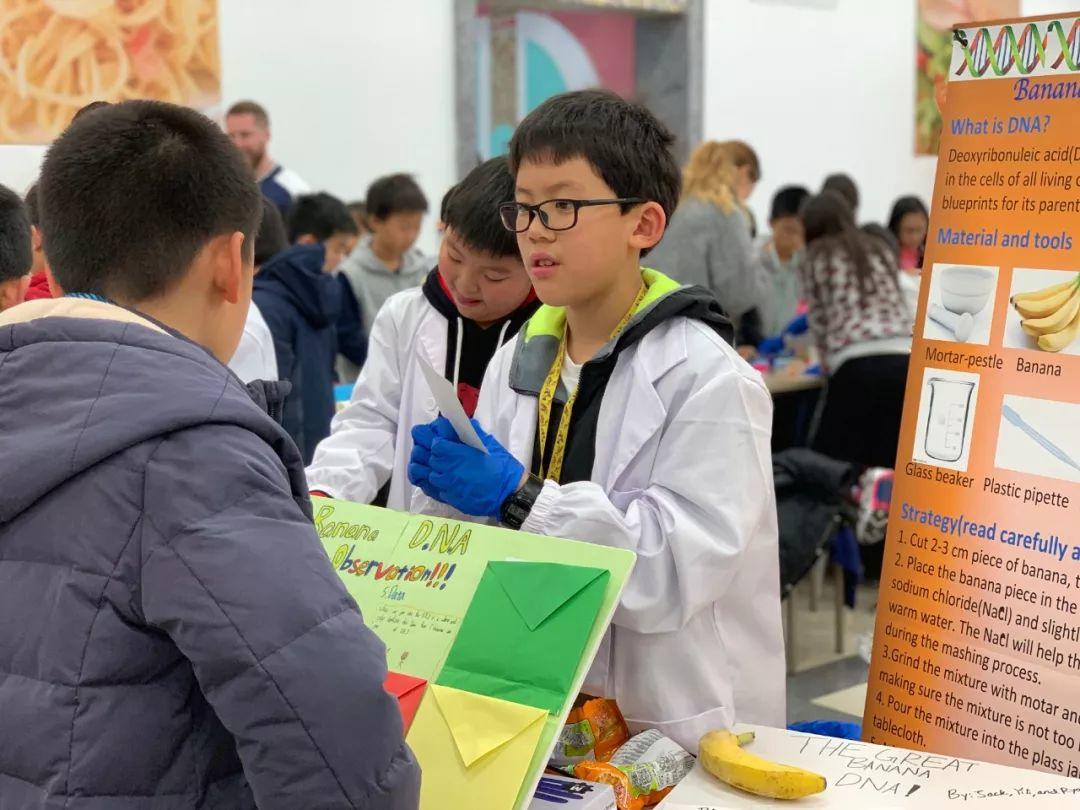 G4-5 | Science Fair G4-5 | Science Fair