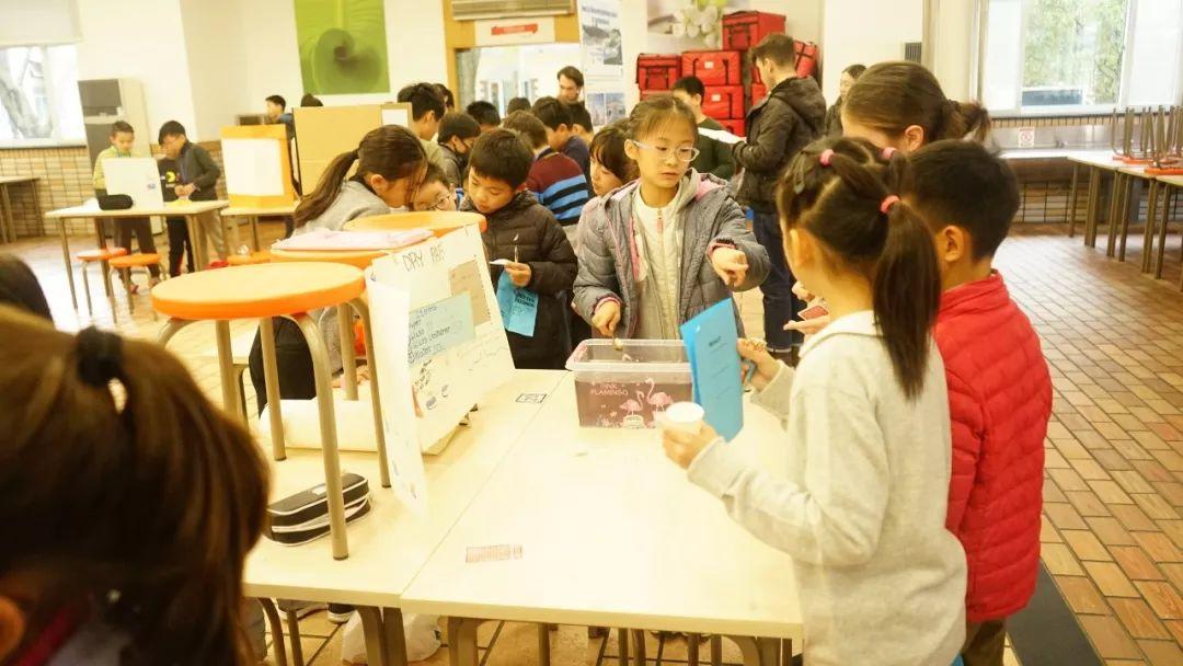 G4-5 | Science Fair G4-5 | Science Fair