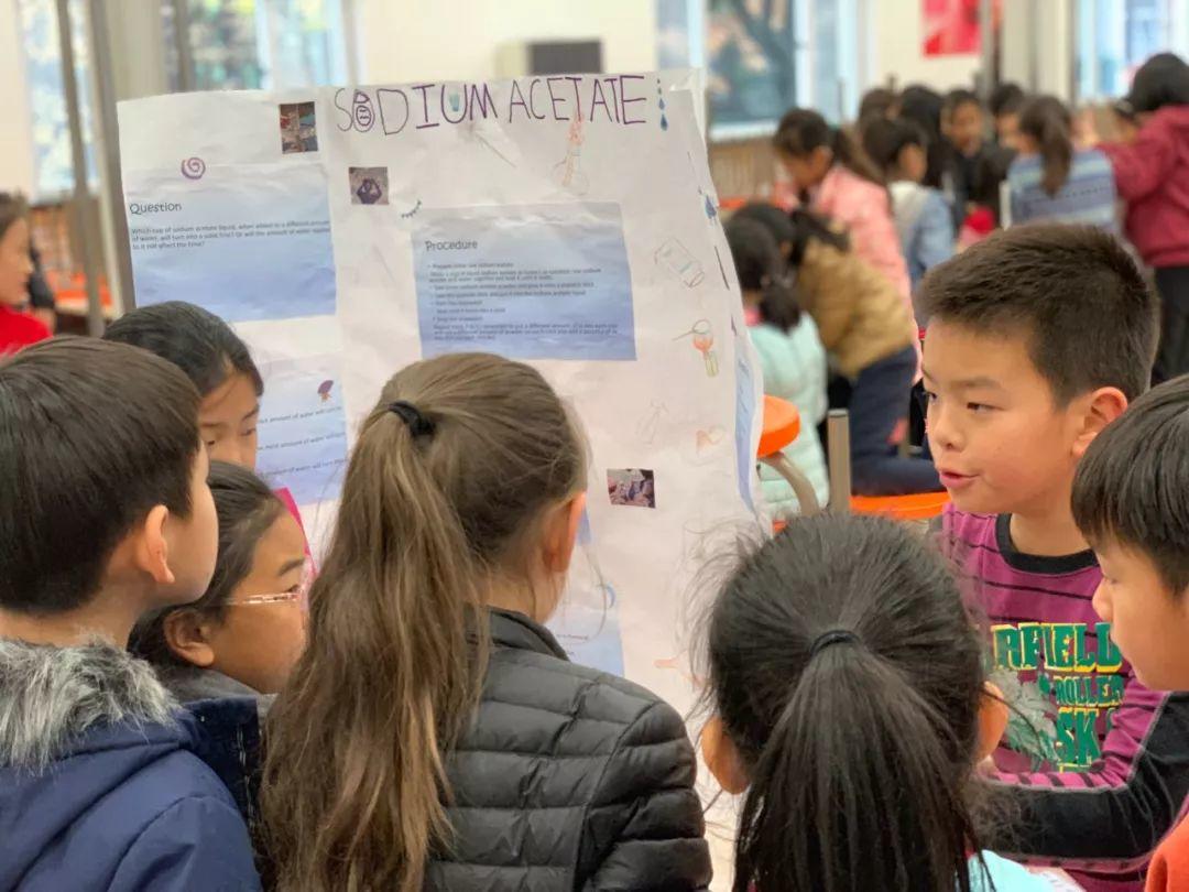 G4-5 | Science Fair G4-5 | Science Fair