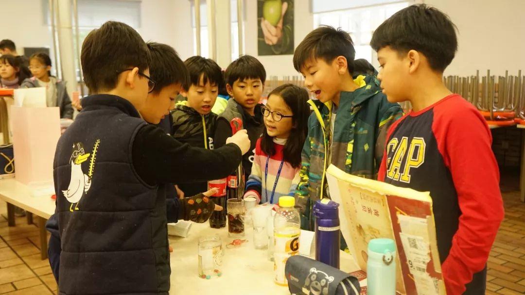 G4-5 | Science Fair G4-5 | Science Fair