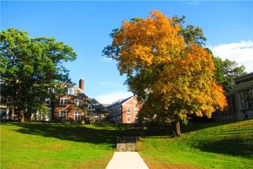 2020 Boston College: Two-week Programs (non-credit)