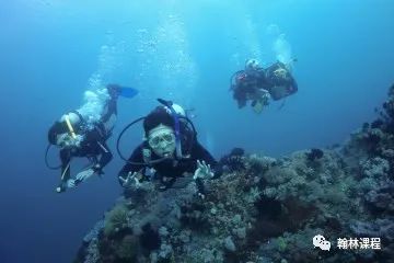 5%录取率堪比哈佛耶鲁,这所美高为什么大家争着进? 5%录取率堪比哈佛耶鲁,这所美高为什么大家争着进?