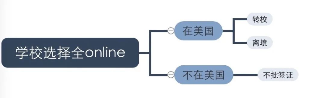 惊了！美国移民局宣布大学全网课国际生将被强制离境，留学生们该走向何方？