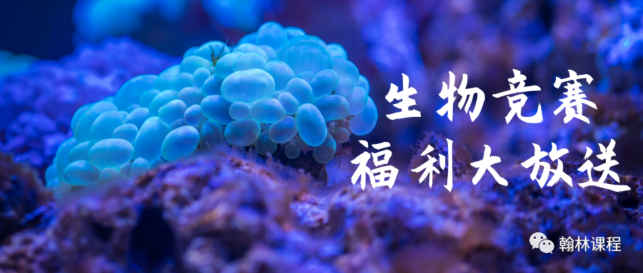 暑期福利汇,生物竞赛历年真题及实用教材福利大礼包!资料在手竞赛不愁! 暑期福利汇,生物竞赛历年真题及实用教材福利大礼包!资料在手竞赛不愁!