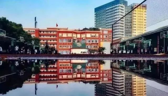 徐汇 | 上海公认教育最强区！上中国际、世外都在这，学校资源好到爆！