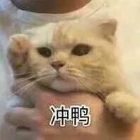 本科直升牛津博士,两次倒数逆袭第一的火箭式提分,从普娃到学霸你需要这样! 本科直升牛津博士,两次倒数逆袭第一的火箭式提分,从普娃到学霸你需要这样!